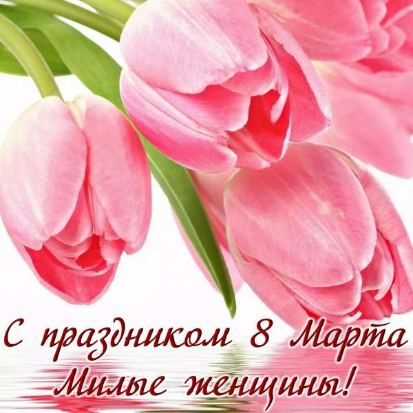 Открытка розовые тюльпаны 8 марта