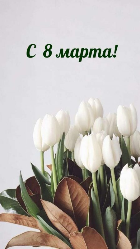 Открытка 8 марта белые тюльпаны