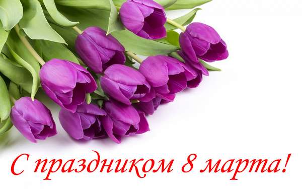 Открытка 8 марта фиолетовые тюльпаны
